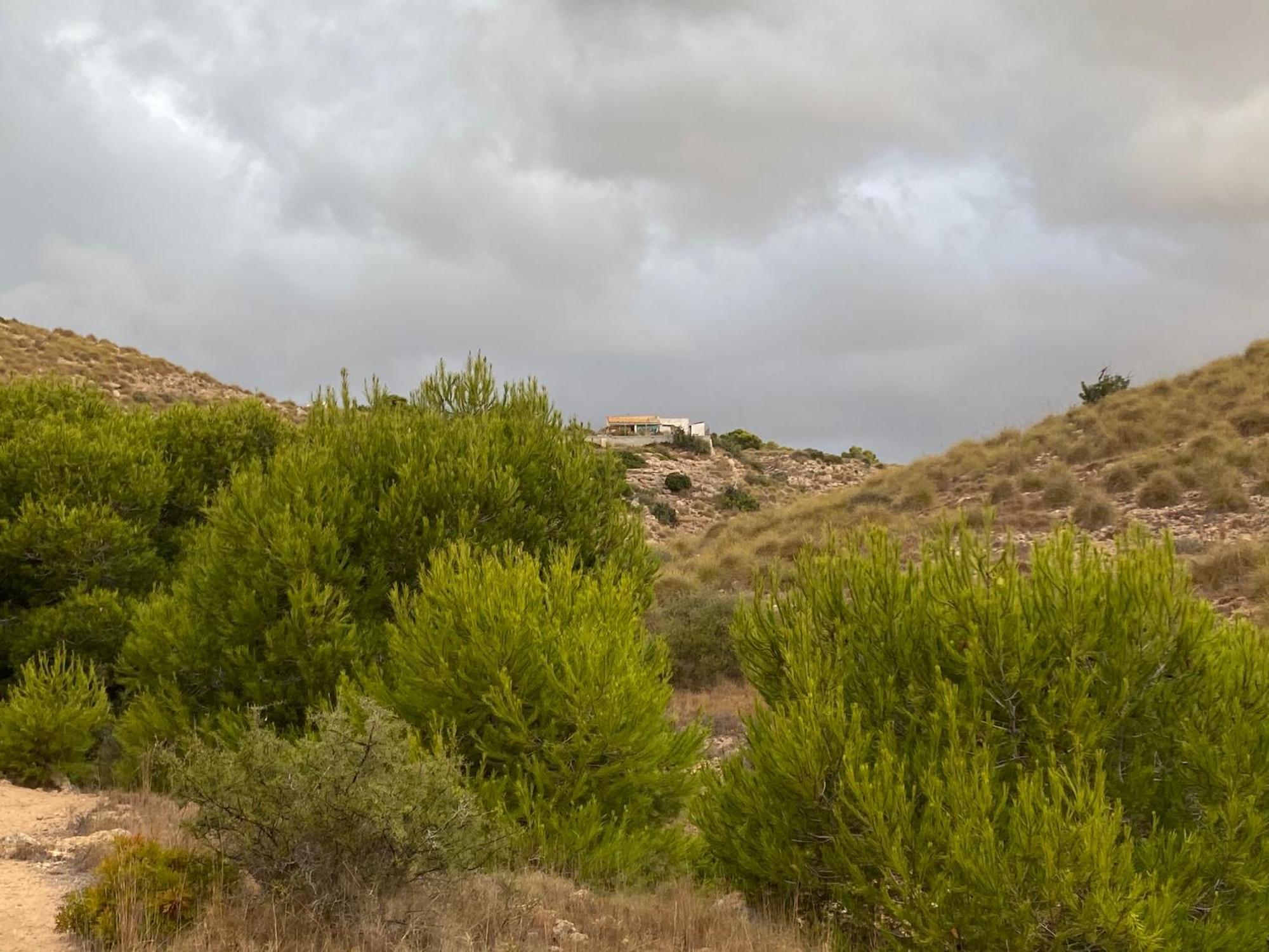 Petirrojo Villa Santa Pola Luaran gambar